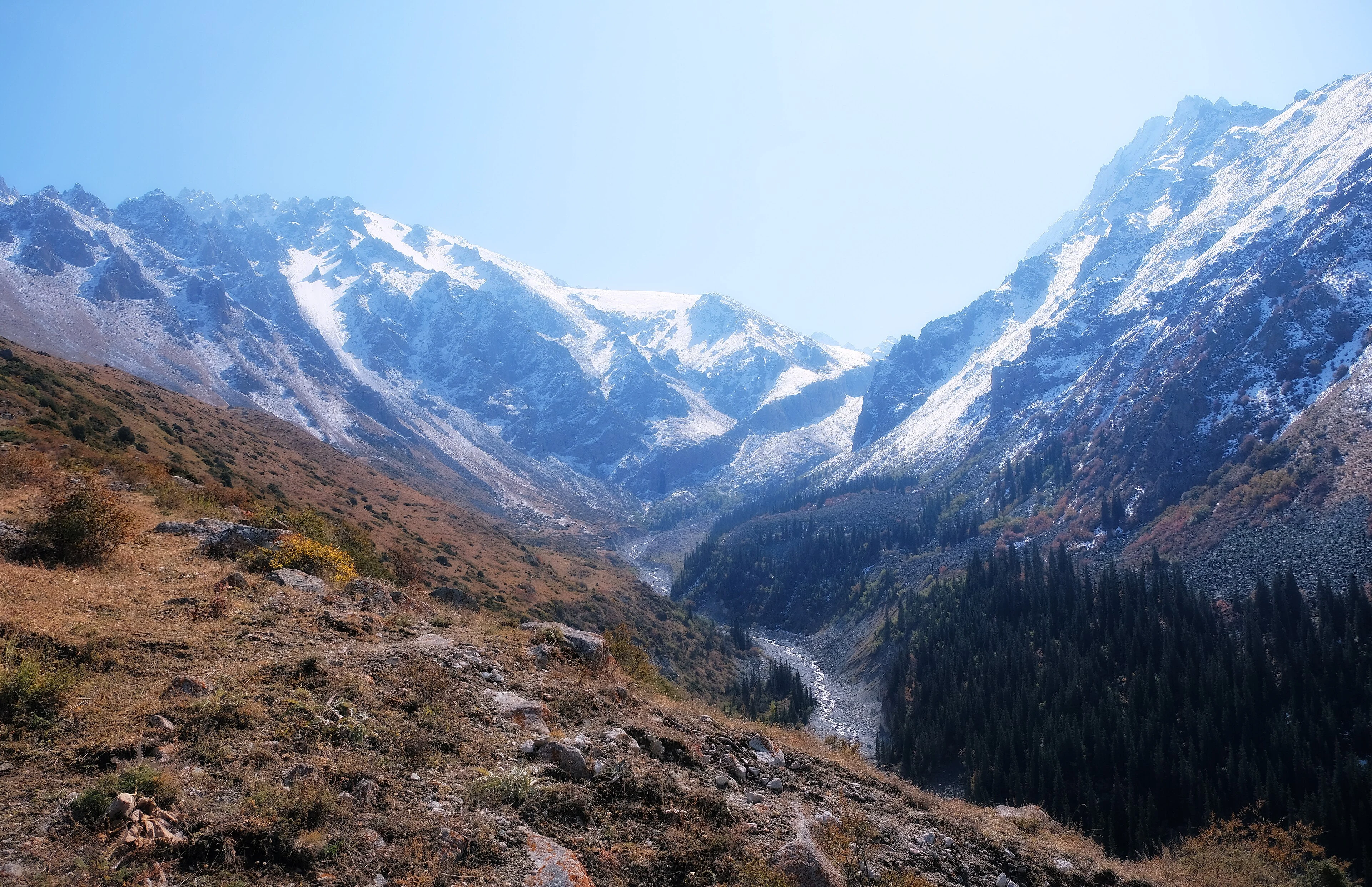 Ala-Archa valley with conifer forest, a mountain river and snow-covered peaks.
