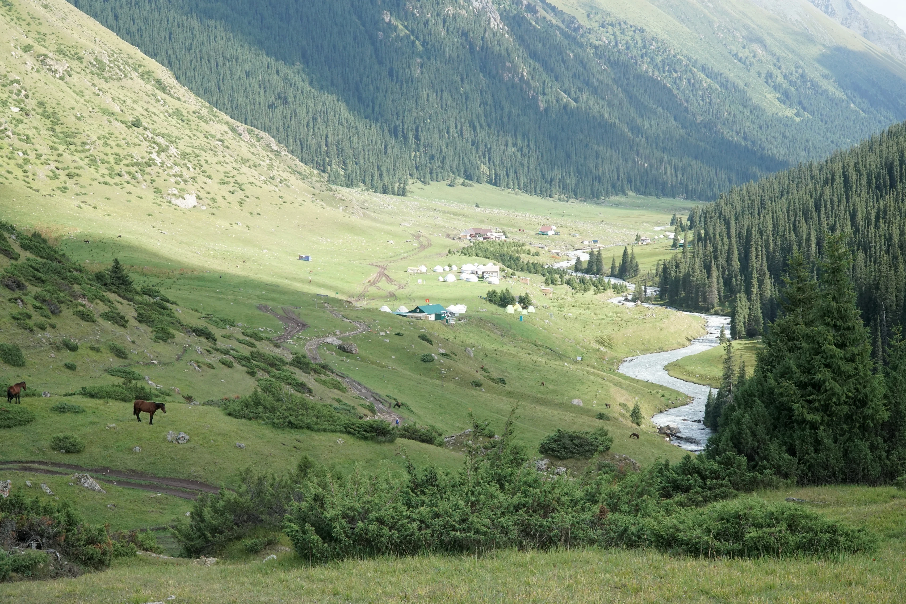 Altyn-Arashan valley, winding river, summer pastures and forested slopes