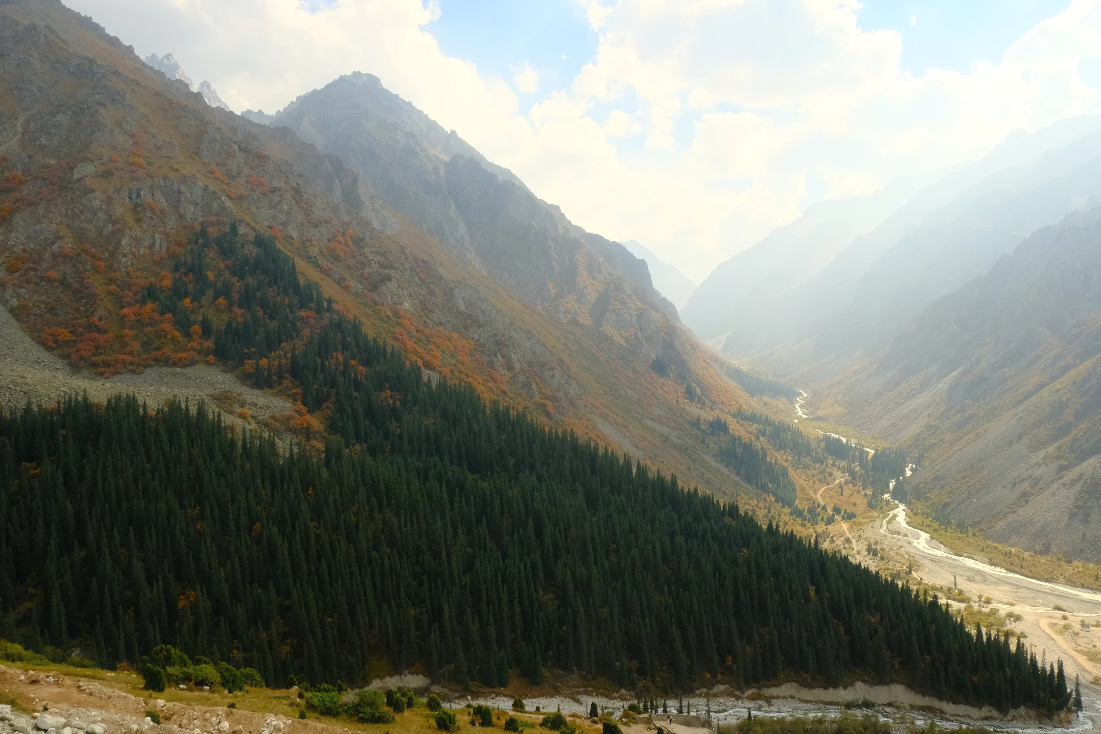 A wide view along the forested Ala-Archa valley.
