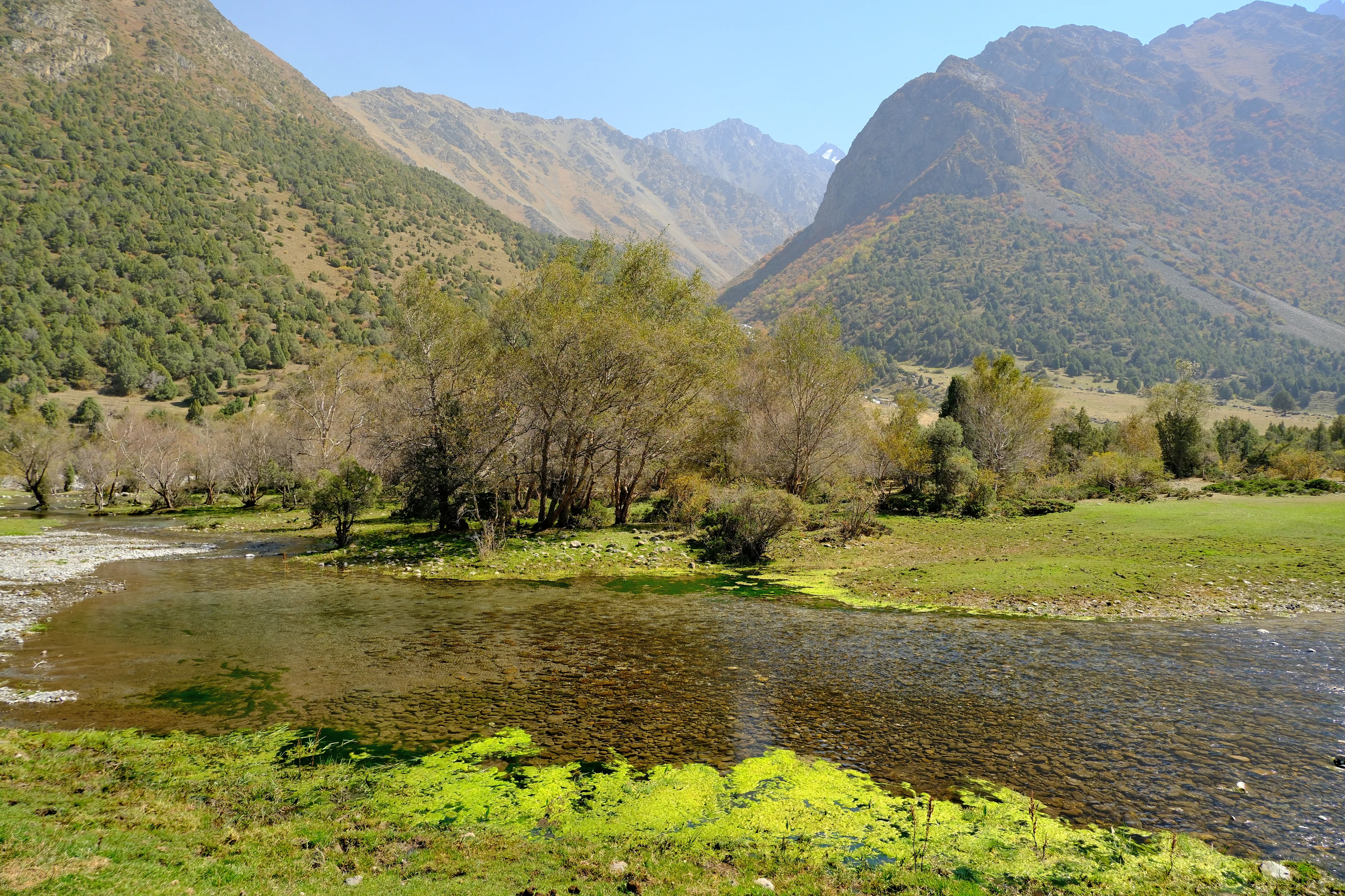 Clear water and green riverbanks beneath the mountains of Alamedin Ravine.