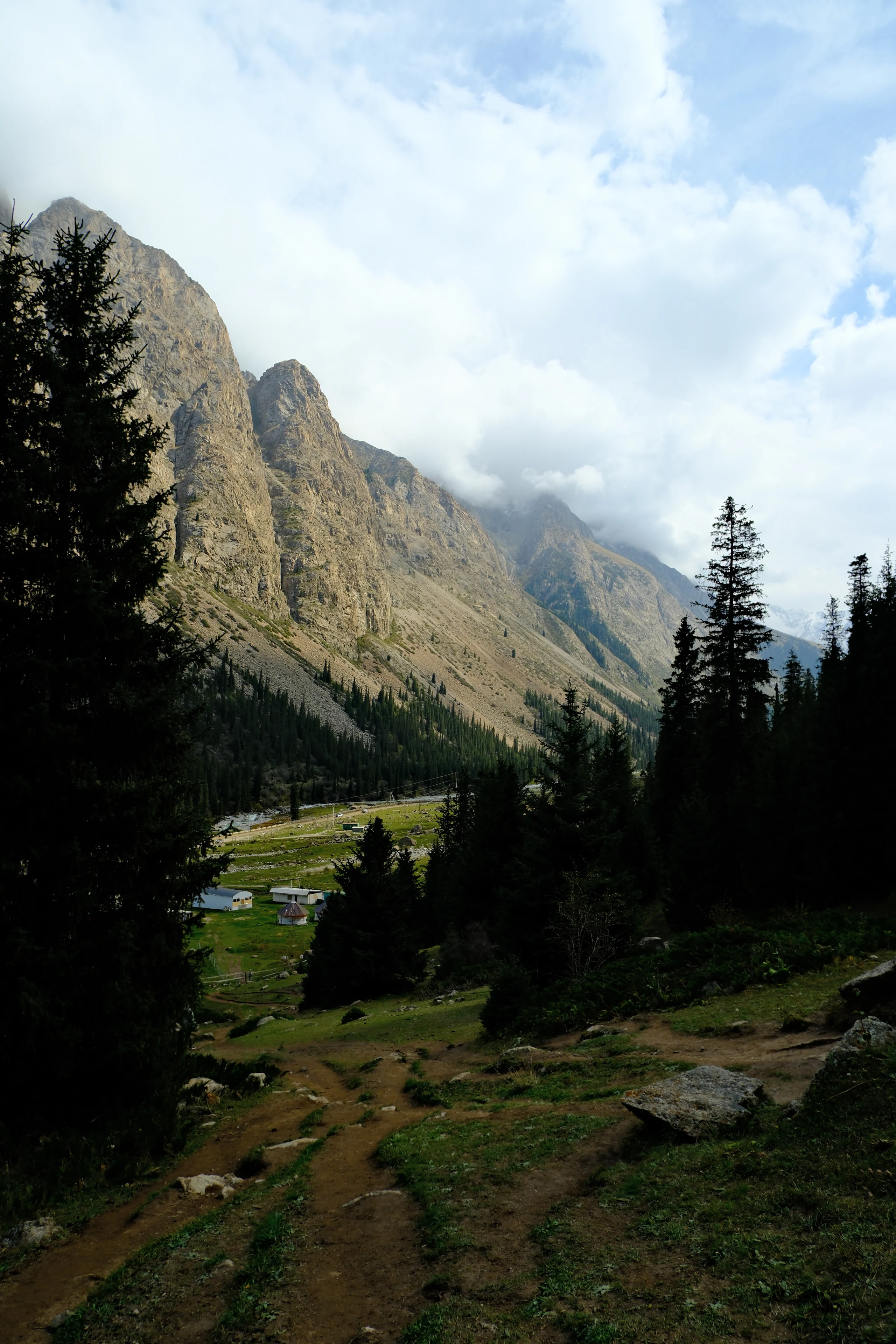 A valley view framed by conifers in Boom Gorge.