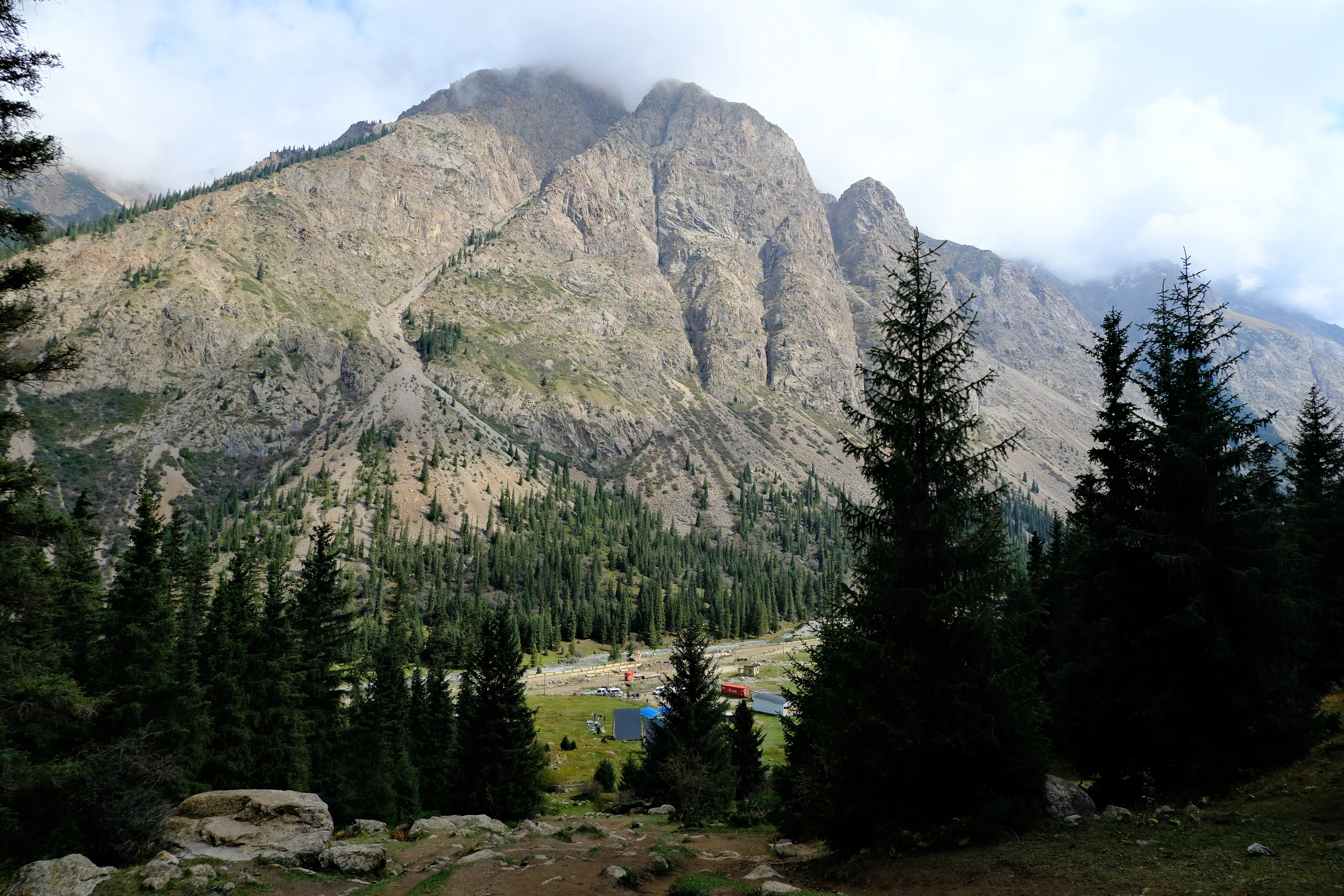 Rocky cliffs and conifer forest in Boom Gorge.