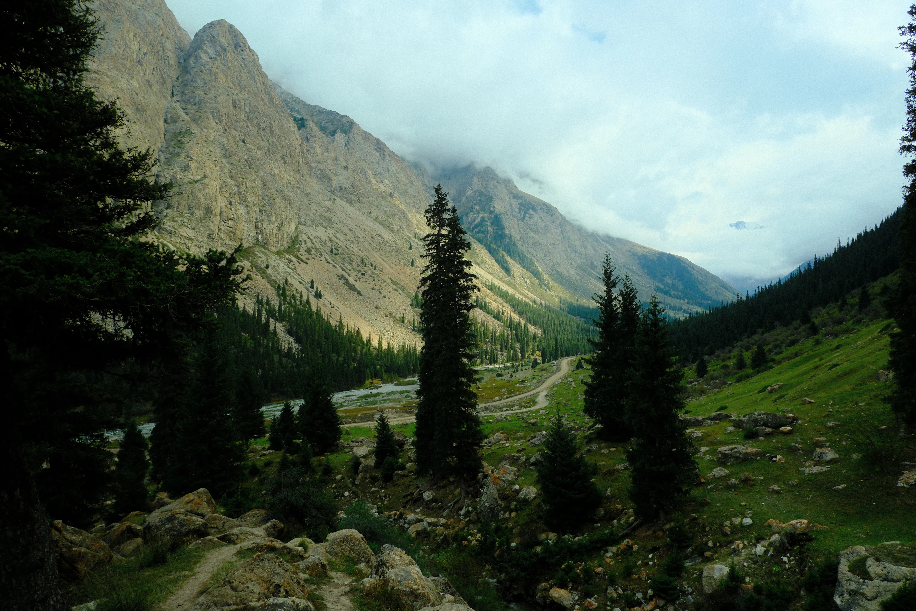 A wide view of the valley and forested mountain walls in Boom Gorge.