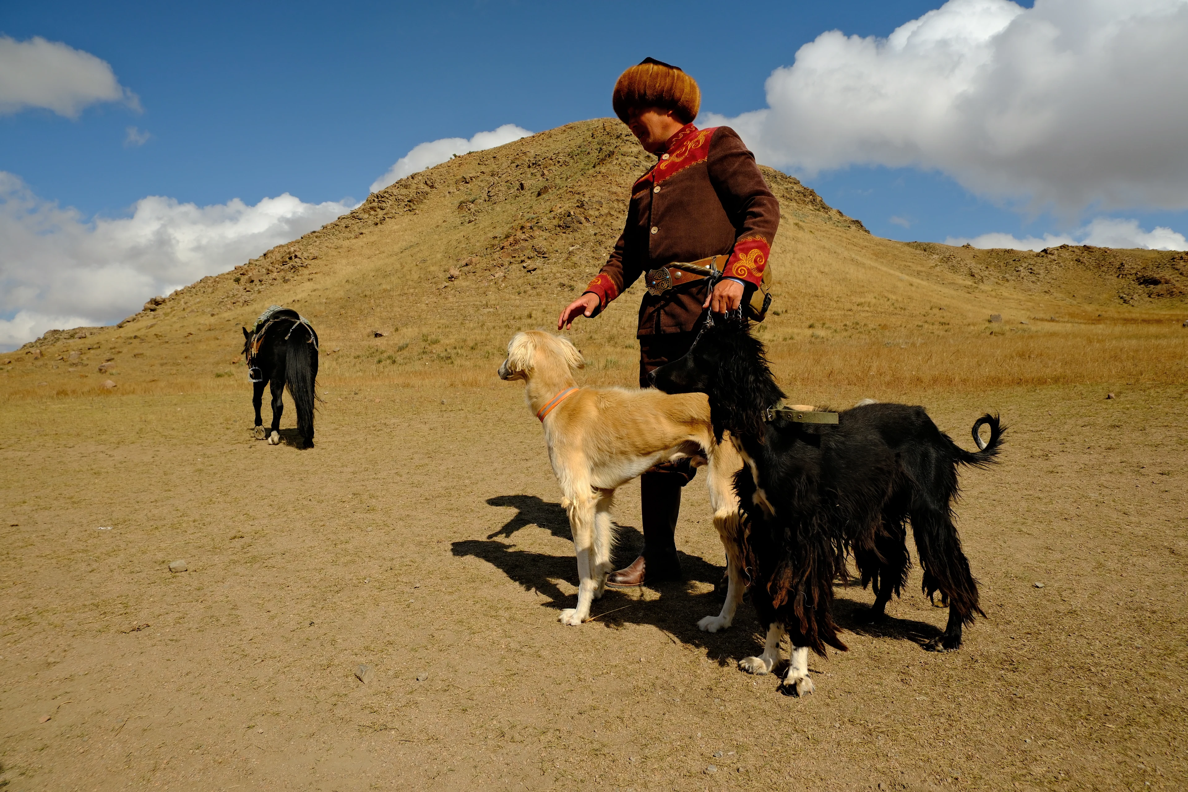 An eagle hunter with dogs in open mountain country.