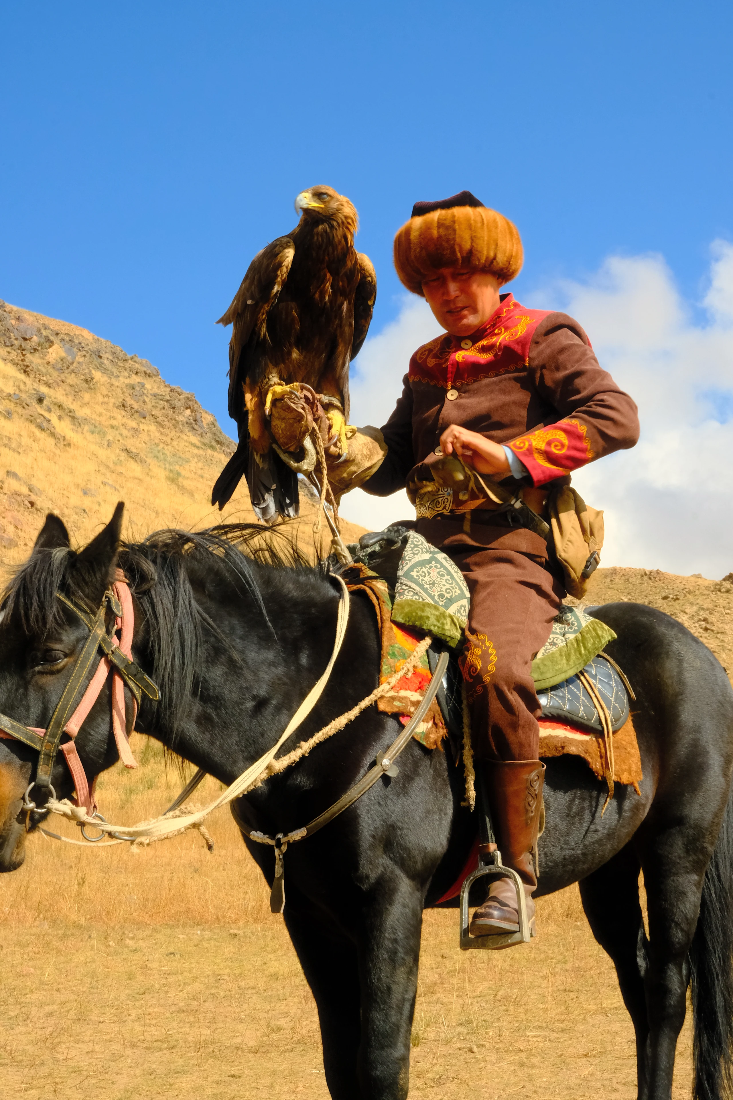 An eagle hunter on horseback with a golden eagle.