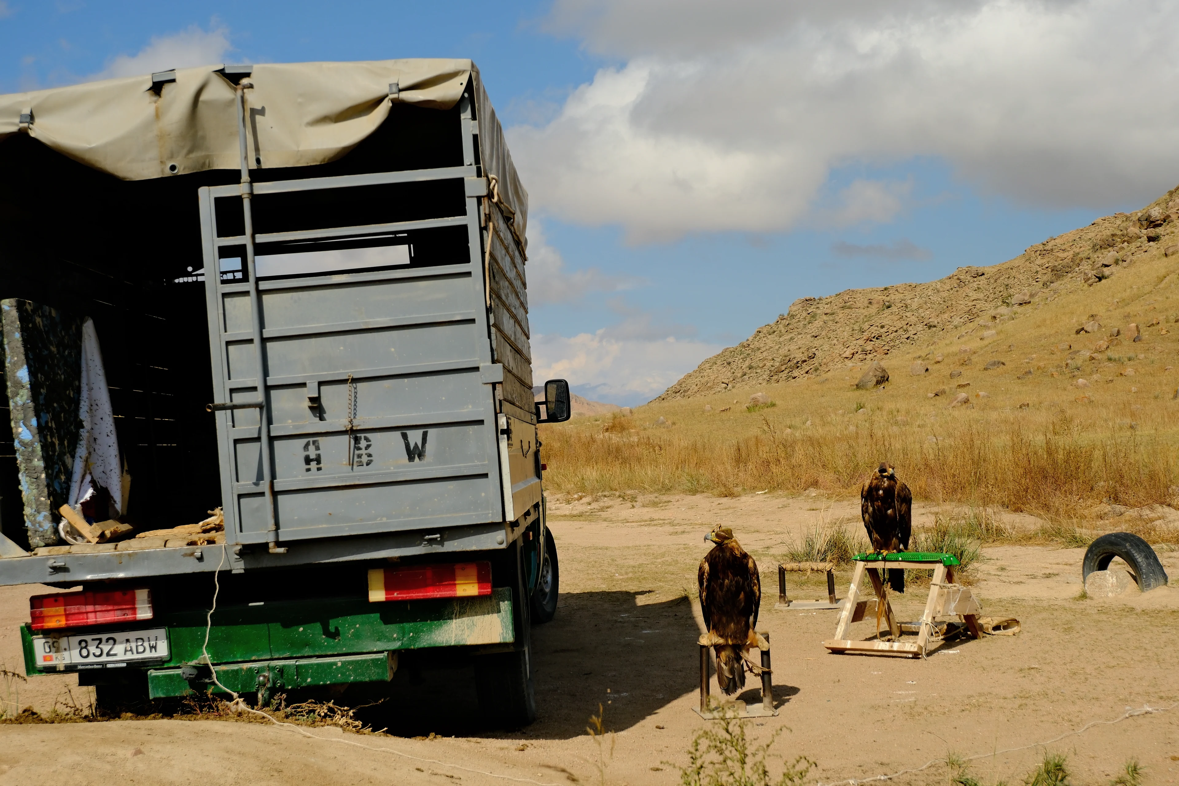 Two eagles resting on perches beside a transport vehicle.