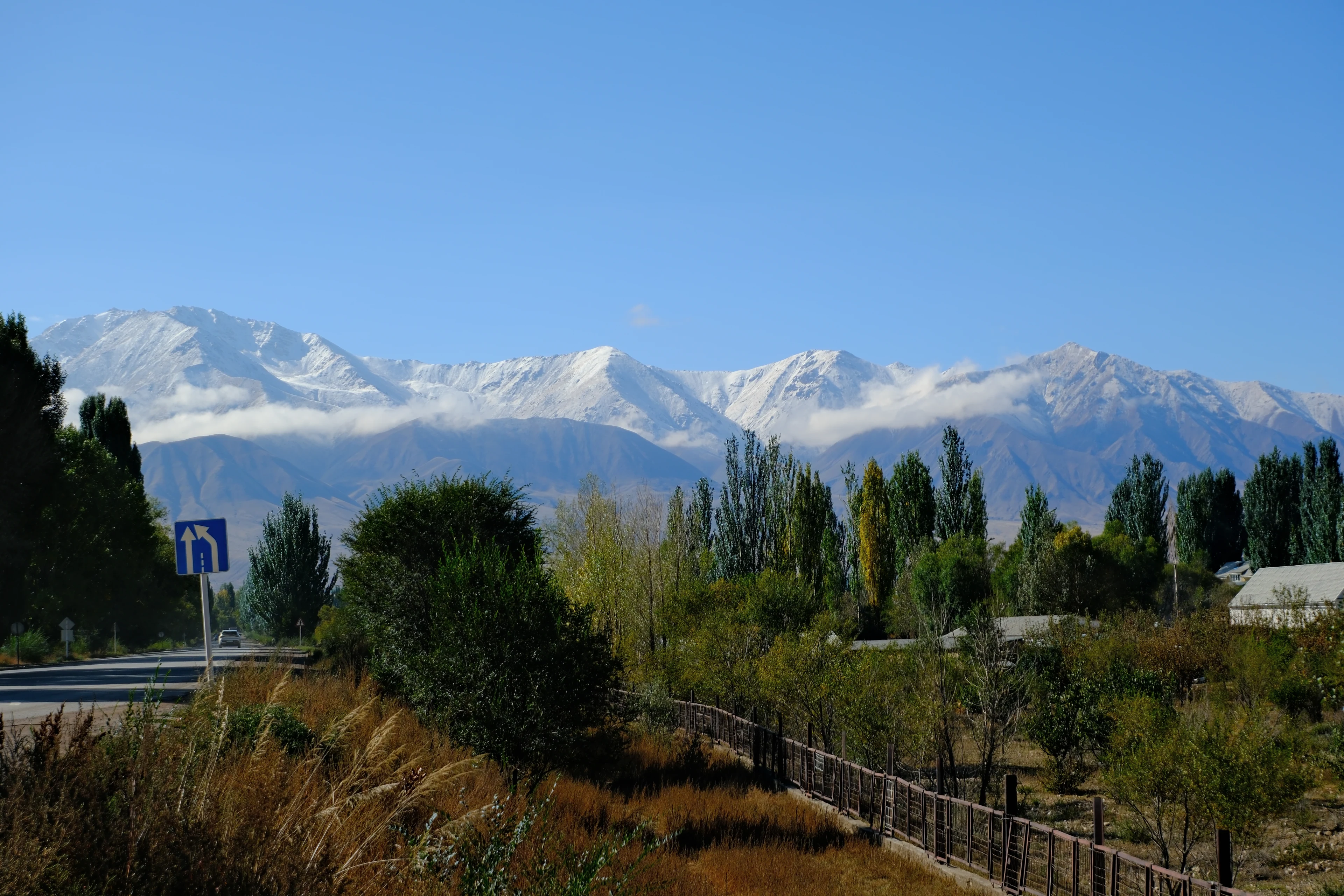 Snow-covered mountains and roadside trees from the yurt visit photo collection.