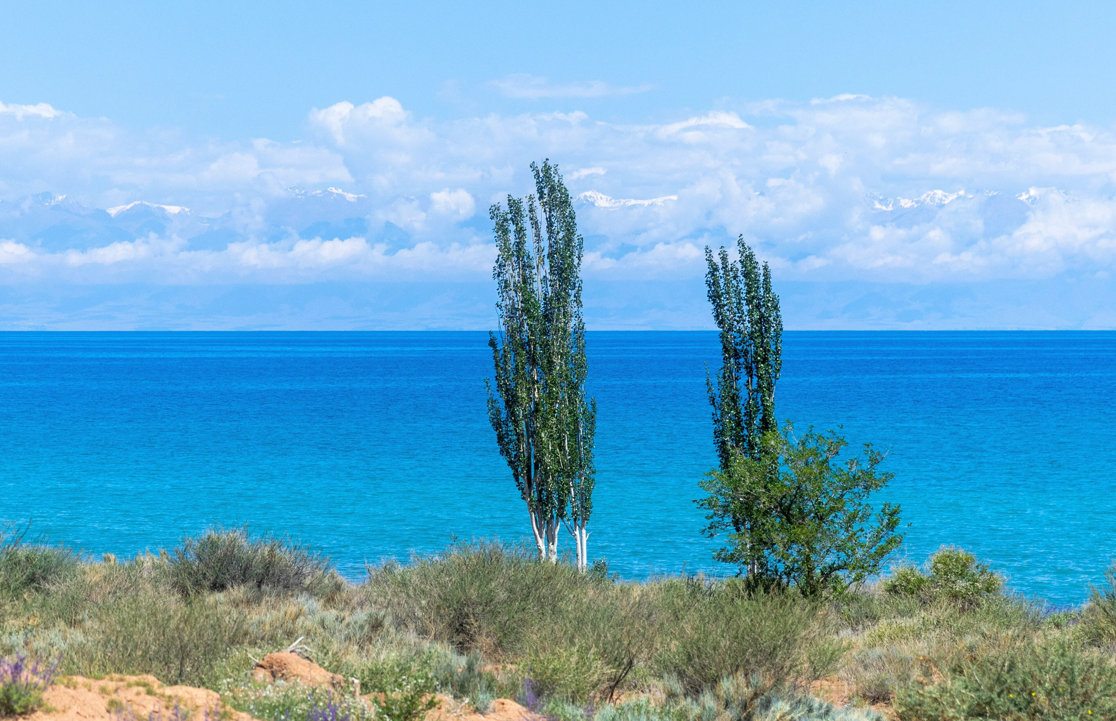 The blue waters of Issyk-Kul from the southern shore, with mountains across the lake.